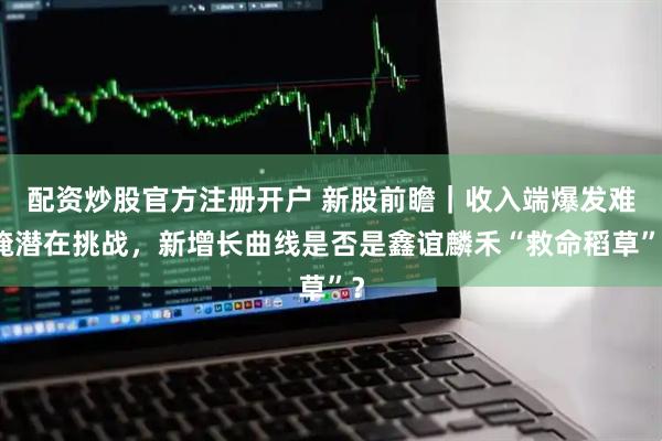 配资炒股官方注册开户 新股前瞻｜收入端爆发难掩潜在挑战，新增长曲线是否是鑫谊麟禾“救命稻草”？