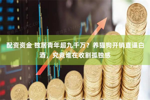 配资资金 独居青年超九千万？养猫狗开销直逼白酒，究竟谁在收割孤独感